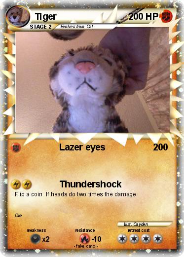 Pokemon Tiger