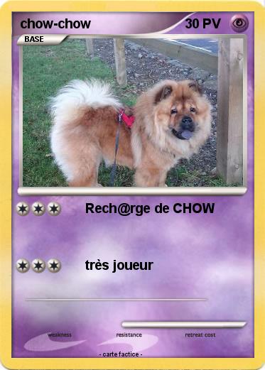 Pokemon chow-chow