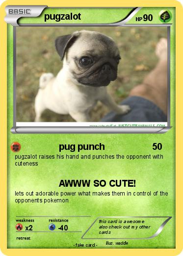 Pokemon pugzalot
