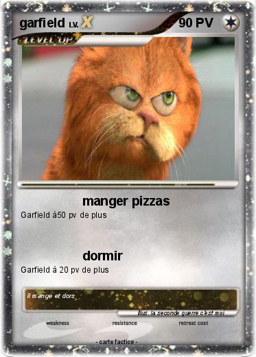 Pokemon garfield