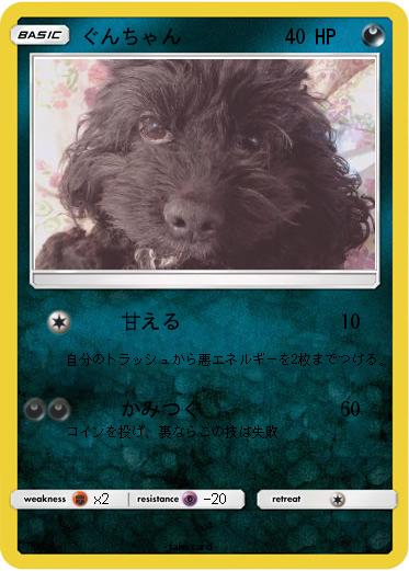 Pokemon ぐんちゃん
