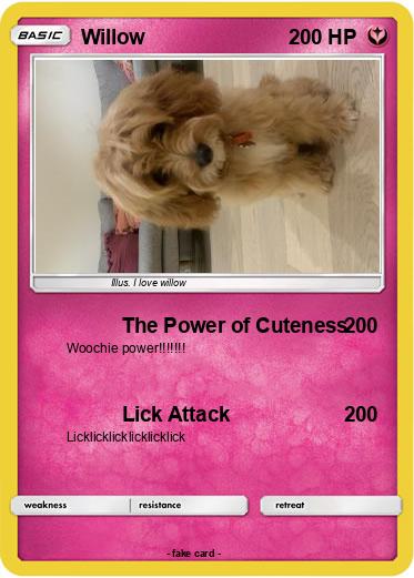 Pokemon Willow