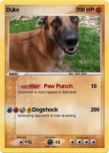 Pokemon Duke