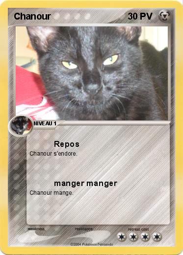 Pokemon Chanour
