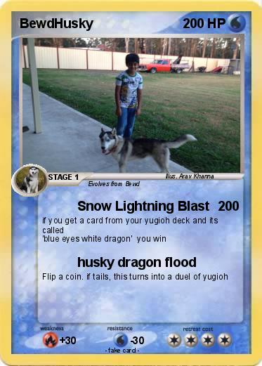 Pokemon BewdHusky