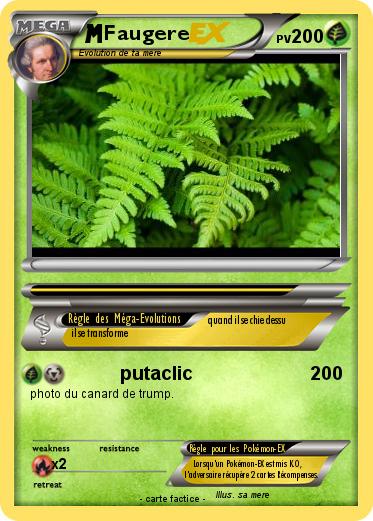 Pokemon Faugere