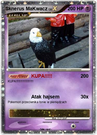 Pokemon Sknerus MaKwacz