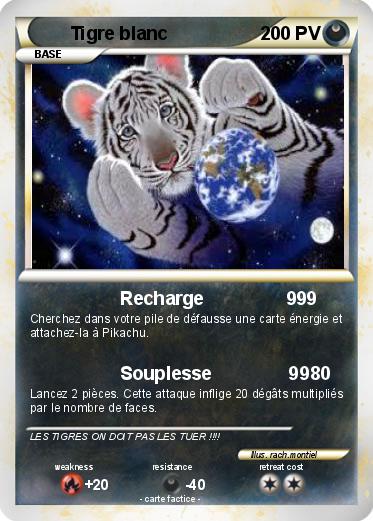 Pokemon Tigre blanc