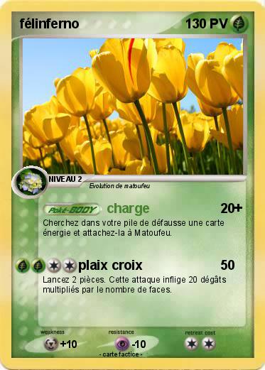 Pokemon félinferno
