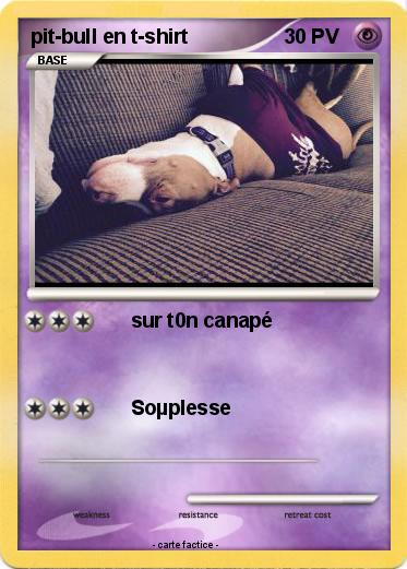 Pokemon pit-bull en t-shirt