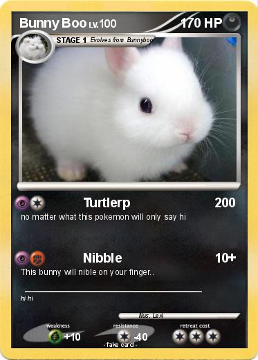 Pokemon Bunny Boo
