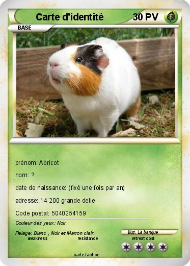 Pokemon Carte d'identité