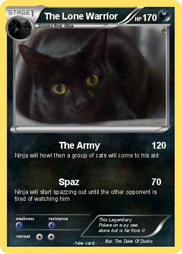 Pokemon The Lone Warrior