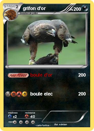 Pokemon grifon d'or
