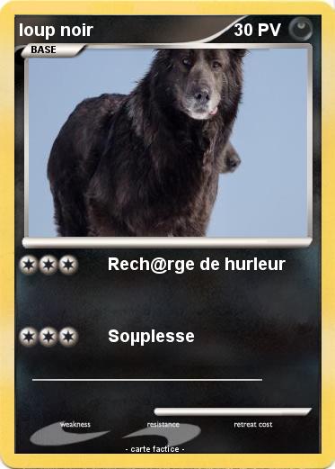 Pokemon loup noir