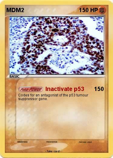 Pokemon MDM2