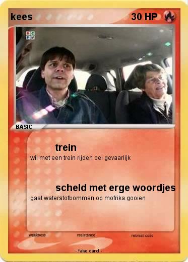 Pokemon kees