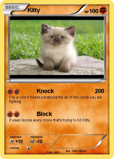 Pokemon Kitty