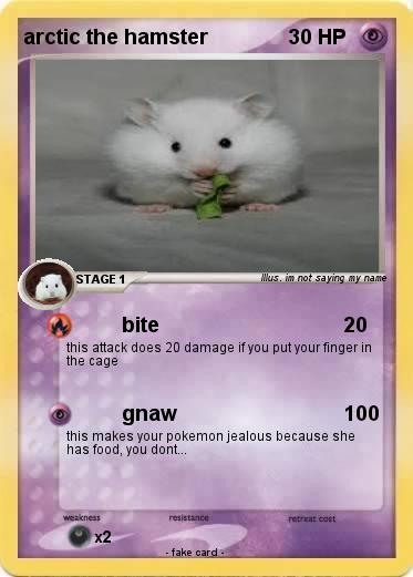 Pokemon arctic the hamster