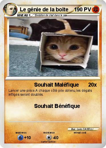 Pokemon Le génie de la boîte