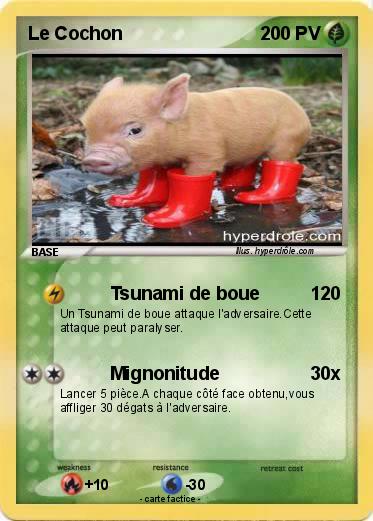 Pokemon Le Cochon