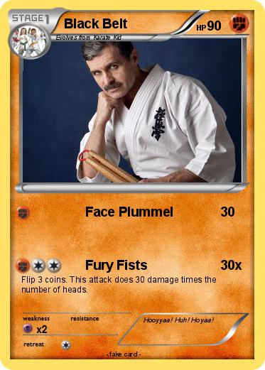 Pokemon Black Belt