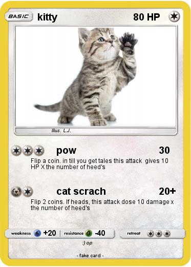 Pokemon kitty