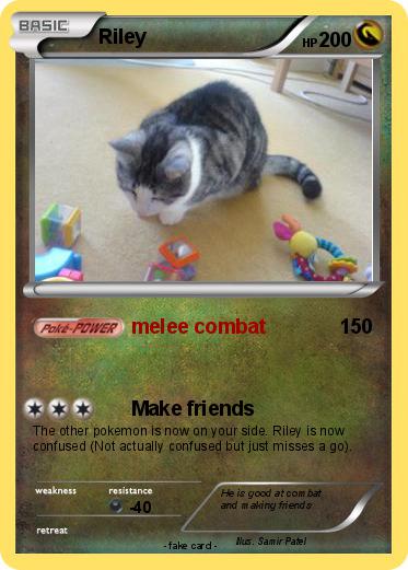Pokemon Riley