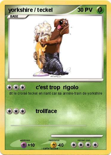 Pokemon yorkshire / teckel