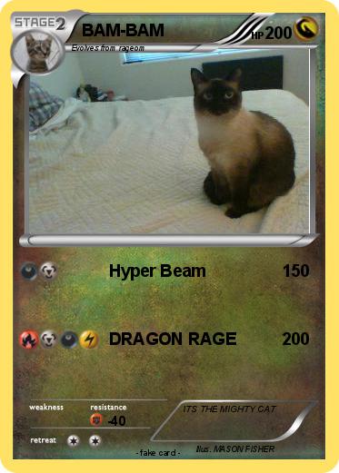 Pokemon BAM-BAM