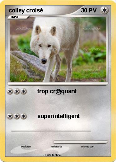 Pokemon colley croisé