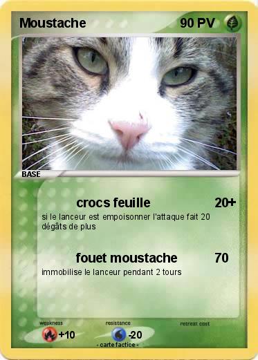 Pokemon Moustache
