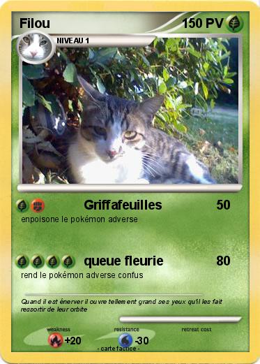 Pokemon Filou