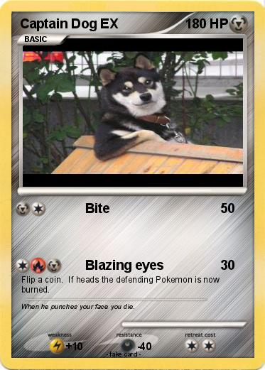 Pokemon Captain Dog EX