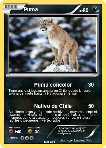Pokemon Puma