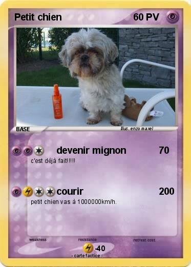Pokemon Petit chien