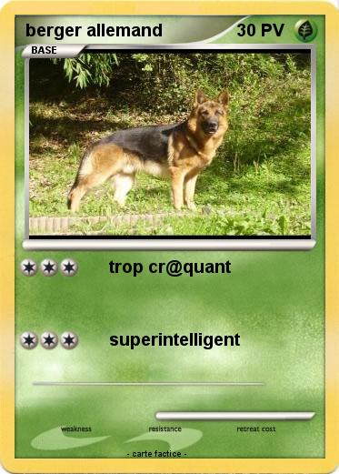 Pokemon berger allemand