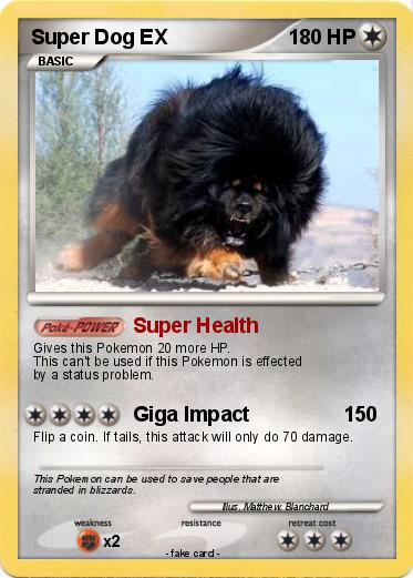 Pokemon Super Dog EX