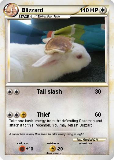 Pokemon Blizzard