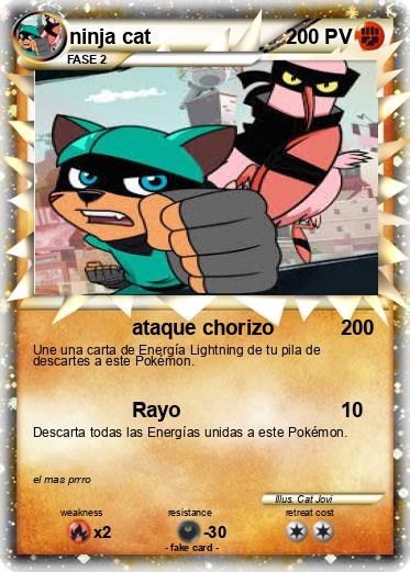 Pokemon ninja cat
