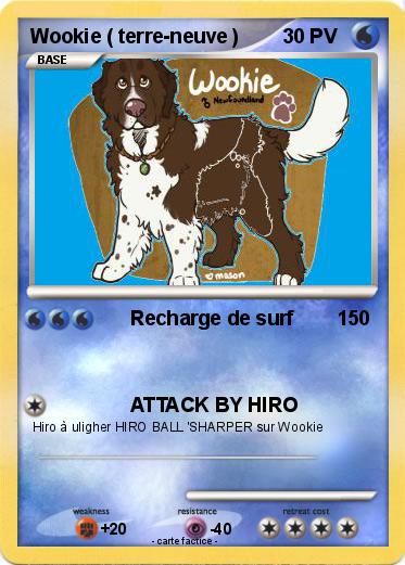 Pokemon Wookie ( terre-neuve )