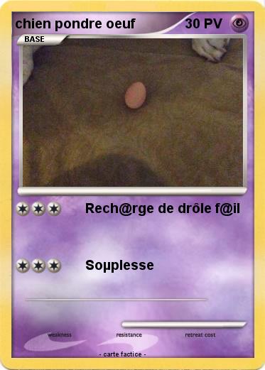 Pokemon chien pondre oeuf