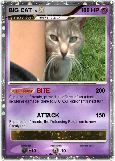 Pokemon BIG CAT
