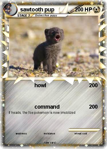 Pokemon sawtooth pup