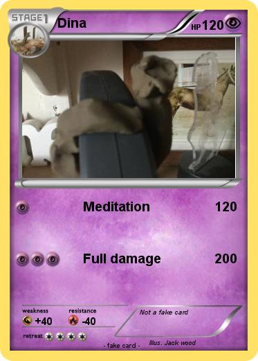 Pokemon Dina