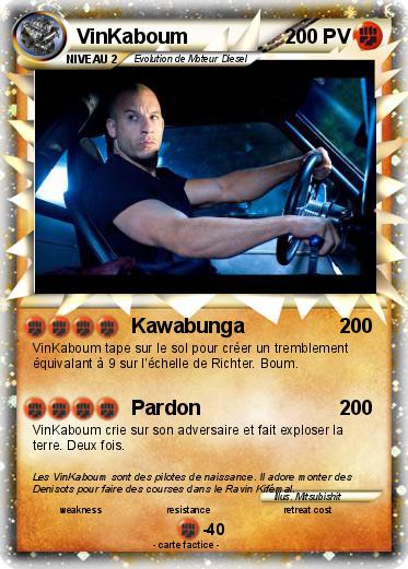 Pokemon VinKaboum