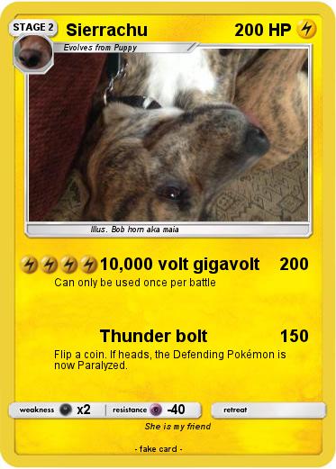 Pokemon Sierrachu