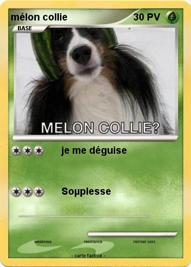 Pokemon mélon collie