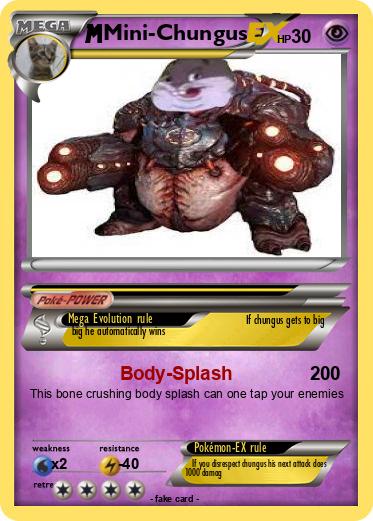 Pokemon Mini-Chungus