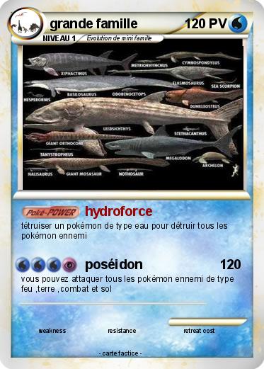 Pokemon grande famille